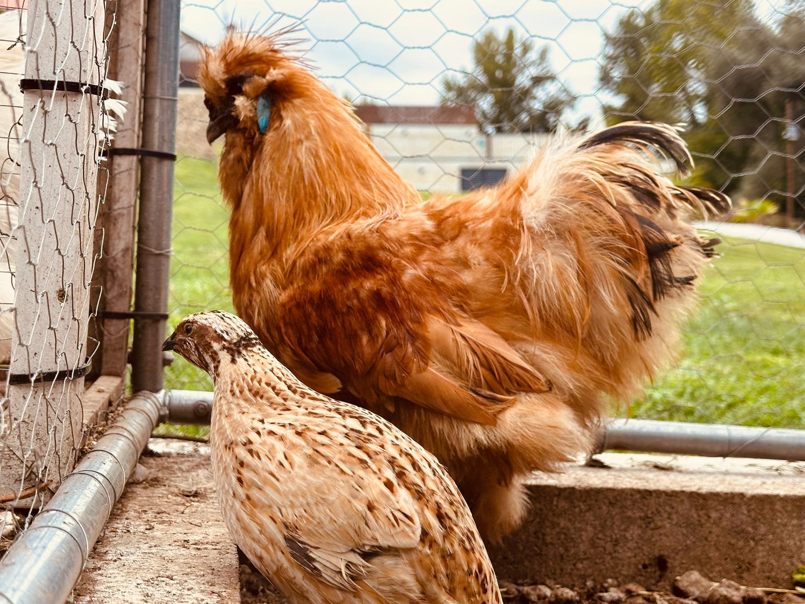 08280a99-579d-464d-983a-238e6199b0df