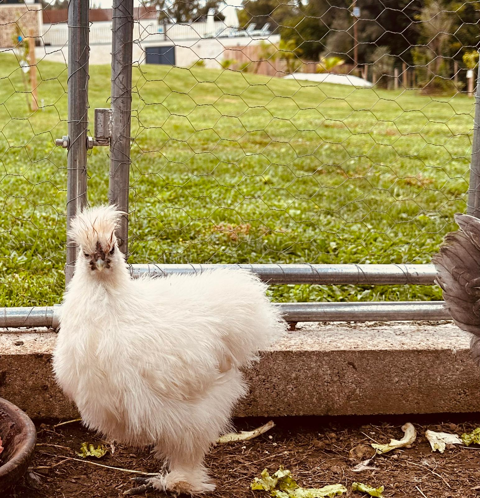 184b5a56-c6b9-409e-ad3c-a993648fa72b