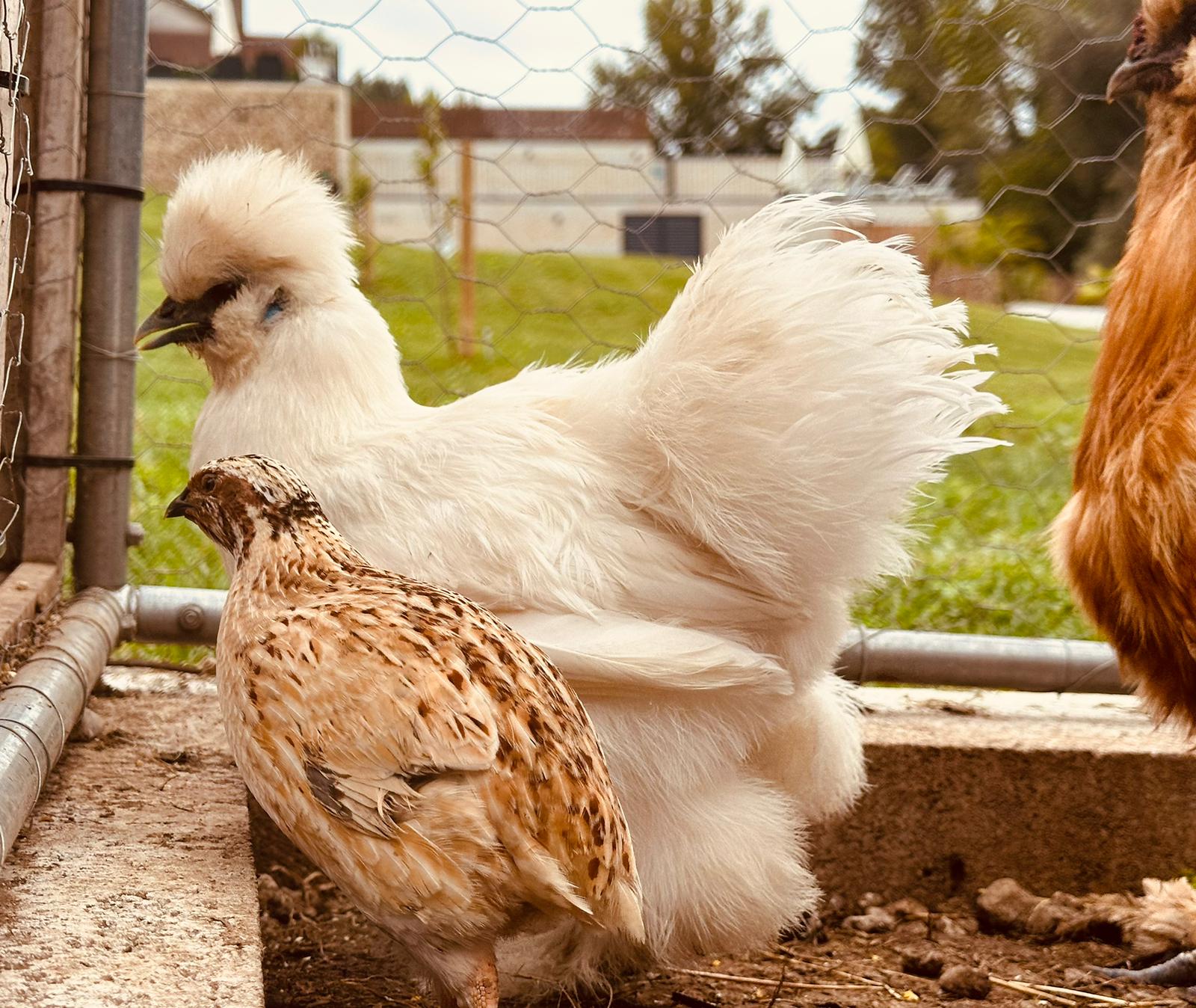 20e03973-5886-44d7-a039-63fb130b2771