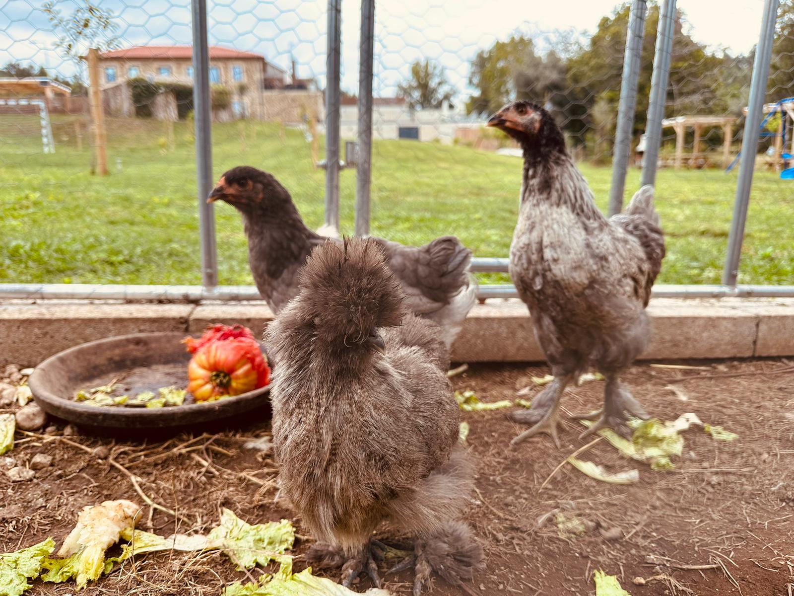 63ec764f-ab09-46a0-bd62-1dacd0a2d2a2