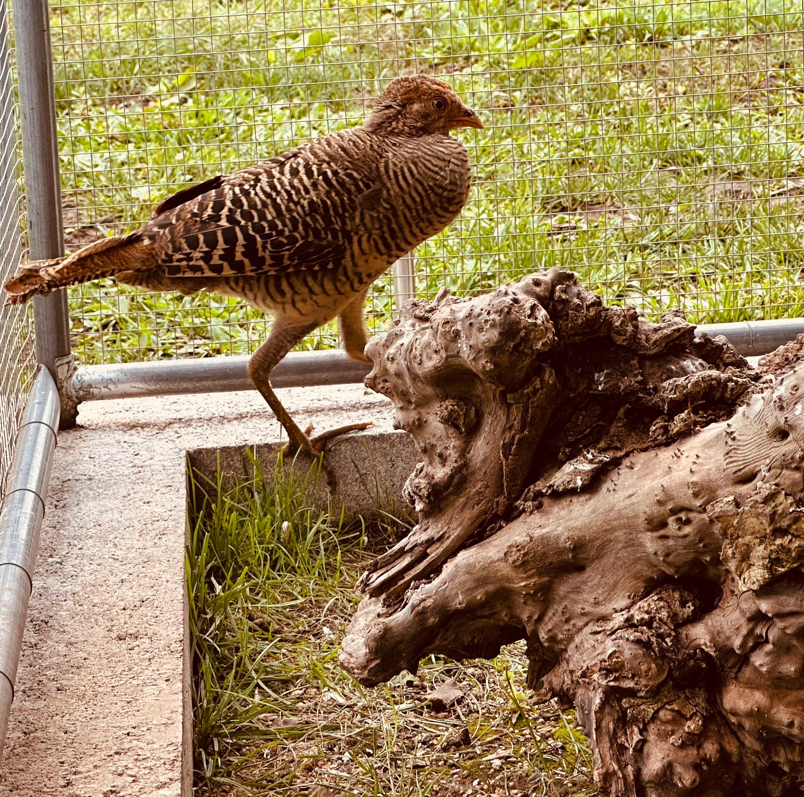 8ac69645-7d07-416e-ac7c-6bd6a03b6f05