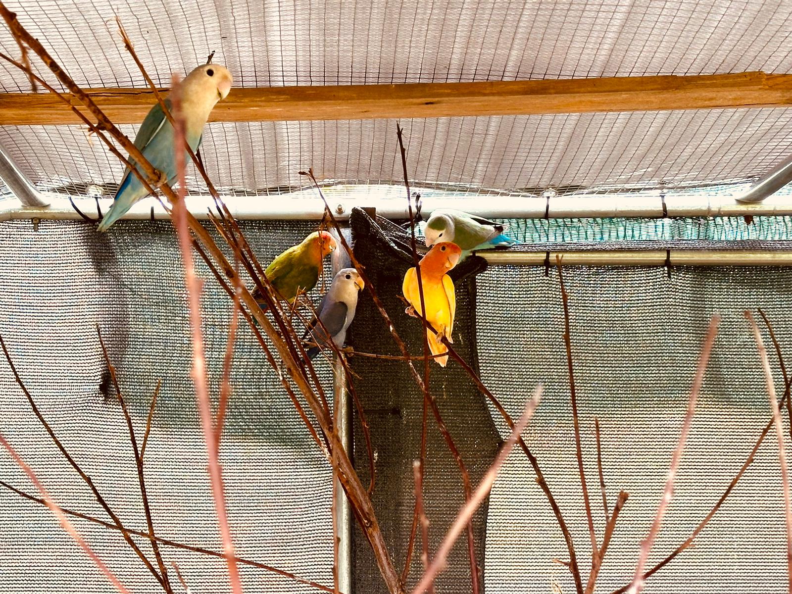 9a5a4f82-dd0b-41be-a8cb-c5a722681042