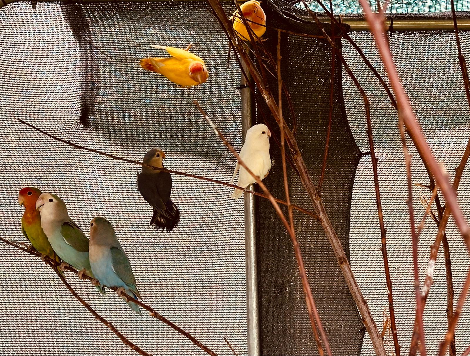 9c70f55f-2f7a-443c-ada6-db269e602ada