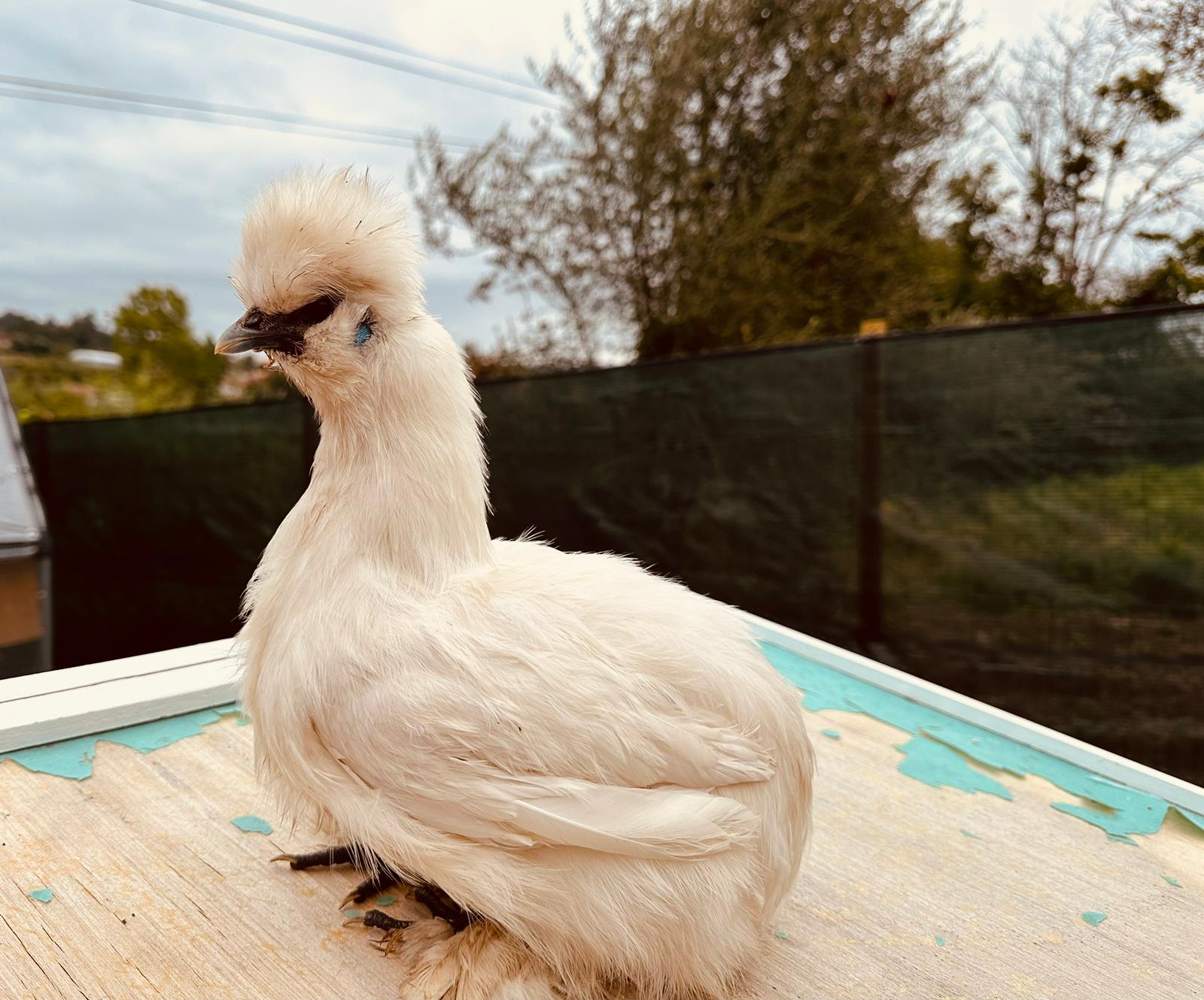 b8f47eff-ac72-4b01-93dc-1b3d1feba230