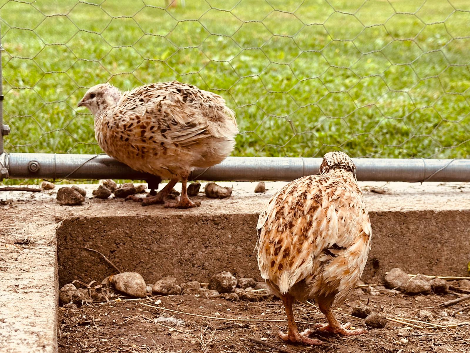 bb247470-7ea9-43ca-8808-6072136eae21