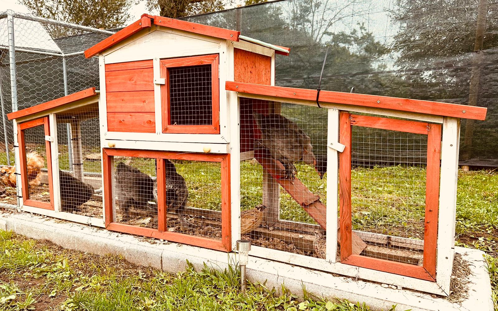 e426abe9-5eea-44f5-93af-9aa8b2a5f3f2